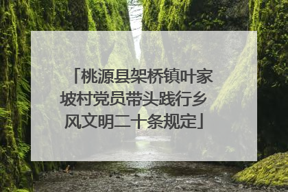 桃源县架桥镇叶家坡村党员带头践行乡风文明二十条规定