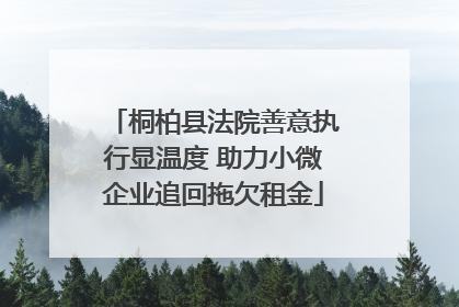 桐柏县法院善意执行显温度 助力小微企业追回拖欠租金