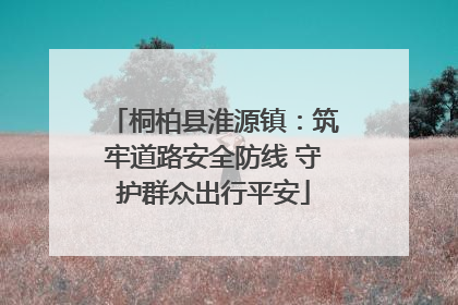 桐柏县淮源镇：筑牢道路安全防线 守护群众出行平安