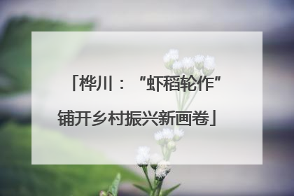桦川：“虾稻轮作”铺开乡村振兴新画卷