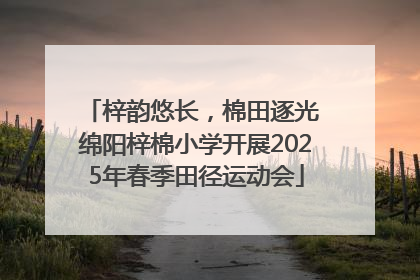 梓韵悠长，棉田逐光 绵阳梓棉小学开展2025年春季田径运动会