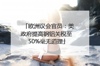 欧洲议会官员：美政府提高钢铝关税至50%毫无道理