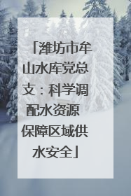 潍坊市牟山水库党总支：科学调配水资源 保障区域供水安全