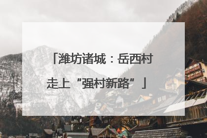 潍坊诸城：岳西村走上“强村新路”