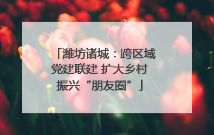 潍坊诸城：跨区域党建联建 扩大乡村振兴“朋友圈”