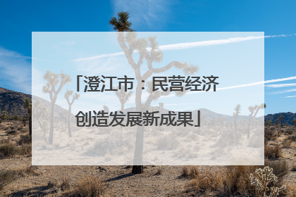 澄江市：民营经济创造发展新成果