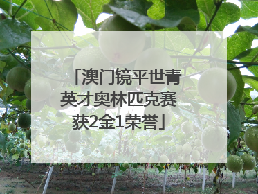 澳门镜平世青英才奥林匹克赛获2金1荣誉