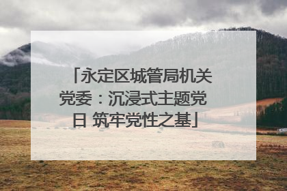 永定区城管局机关党委：沉浸式主题党日 筑牢党性之基