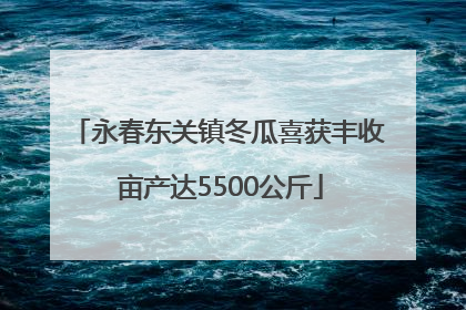 永春东关镇冬瓜喜获丰收 亩产达5500公斤