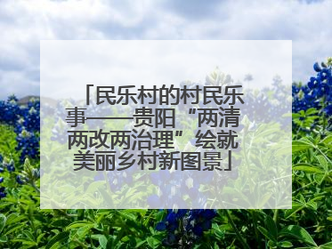 民乐村的村民乐事——贵阳“两清两改两治理”绘就美丽乡村新图景