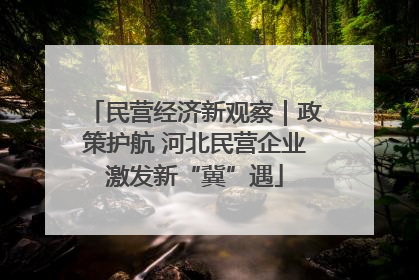 民营经济新观察｜政策护航 河北民营企业激发新“冀”遇