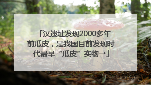 汉遗址发现2000多年前瓜皮，是我国目前发现时代最早“瓜皮”实物→