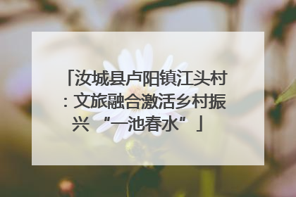 汝城县卢阳镇江头村：文旅融合激活乡村振兴 “一池春水”