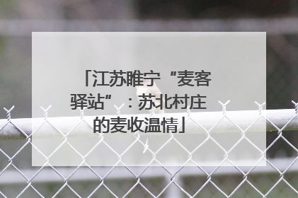 江苏睢宁“麦客驿站”：苏北村庄的麦收温情