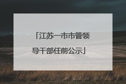 江苏一市市管领导干部任前公示