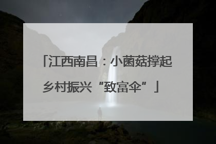 江西南昌：小菌菇撑起乡村振兴“致富伞”