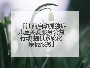 江西启动孤独症儿童关爱服务公益行动 提供系统化康复服务