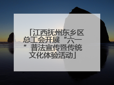 江西抚州东乡区总工会开展“六一”普法宣传暨传统文化体验活动