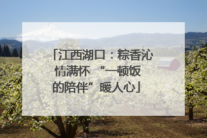 江西湖口：粽香沁 情满怀 “一顿饭的陪伴”暖人心