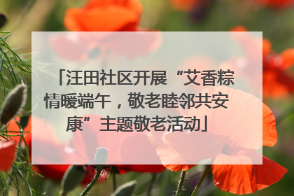 汪田社区开展“艾香粽情暖端午，敬老睦邻共安康”主题敬老活动
