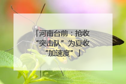 河南台前：抢收“突击队”为夏收“加速度”