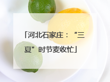 河北石家庄：“三夏”时节麦收忙