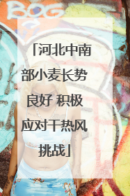 河北中南部小麦长势良好 积极应对干热风挑战