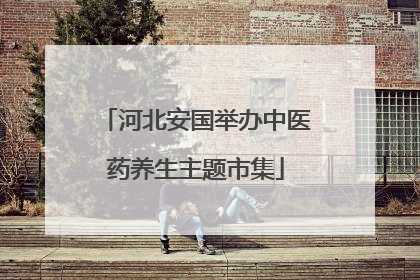 河北安国举办中医药养生主题市集