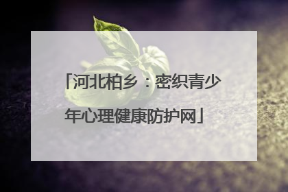河北柏乡：密织青少年心理健康防护网