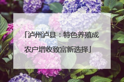 泸州泸县：特色养殖成农户增收致富新选择