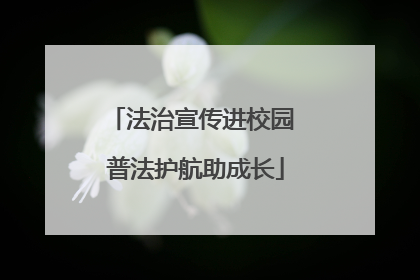 法治宣传进校园 普法护航助成长