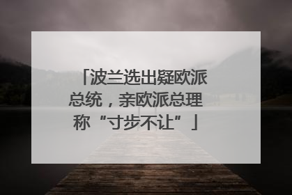 波兰选出疑欧派总统，亲欧派总理称“寸步不让”