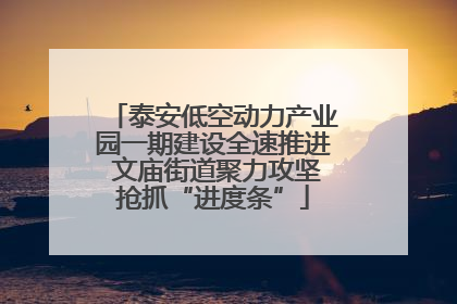 泰安低空动力产业园一期建设全速推进 文庙街道聚力攻坚抢抓“进度条”