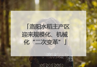 洛阳水稻主产区迎来规模化、机械化“二次变革”