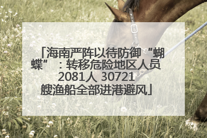 海南严阵以待防御“蝴蝶”：转移危险地区人员2081人 30721艘渔船全部进港避风