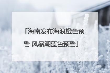 海南发布海浪橙色预警 风暴潮蓝色预警