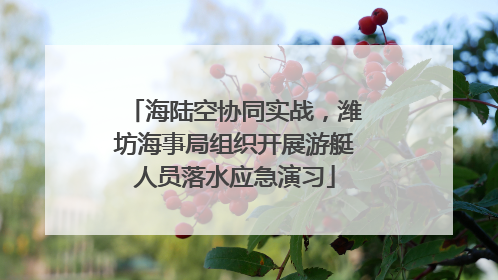 海陆空协同实战，潍坊海事局组织开展游艇人员落水应急演习