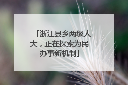 浙江县乡两级人大，正在探索为民办事新机制