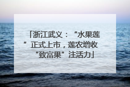 浙江武义：“水果莲”正式上市，莲农增收“致富果”注活力