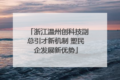 浙江温州创科技副总引才新机制 塑民企发展新优势