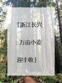 浙江长兴：万亩小麦迎丰收