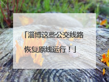 淄博这些公交线路恢复原线运行！