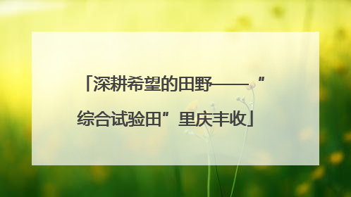 深耕希望的田野——“综合试验田”里庆丰收