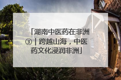 湖南中医药在非洲③|跨越山海,中医药文化浸润非洲
