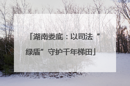 湖南娄底：以司法“绿盾”守护千年梯田