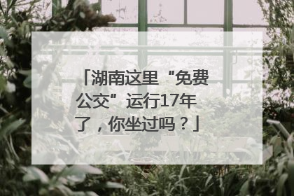 湖南这里“免费公交”运行17年了，你坐过吗？