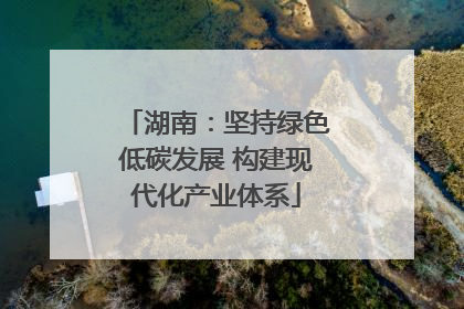 湖南：坚持绿色低碳发展 构建现代化产业体系