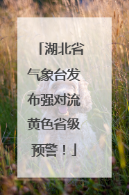 湖北省气象台发布强对流黄色省级预警！