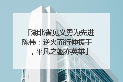 湖北省见义勇为先进陈伟：逆火而行伸援手，平凡之躯亦英雄