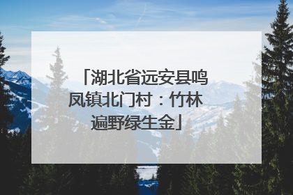 湖北省远安县鸣凤镇北门村：竹林遍野绿生金